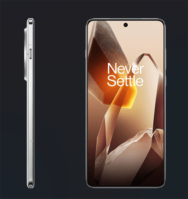 One plus 13
